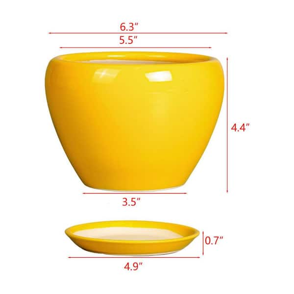 Yellow Ceramic Indoor/Outdoor Planter with Saucer (6.3 in. W x 4.4