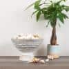 Whitewashed Mango Wood Pedestal Serving Bowl