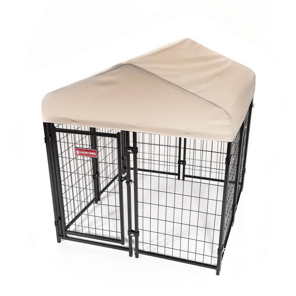 Lucky Dog Stay Series Studio x x Black Powder Coat