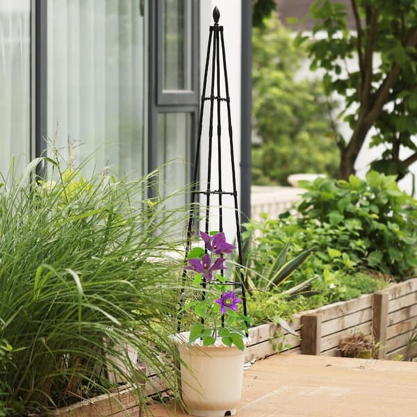 Garden Trellis For Climbing Plants Tower Obelisk Garden