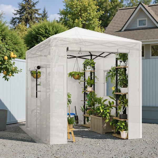 プレーヤー GREENHOUSE Tozey 6 ft. W x 8 ft. D Collapsible Metal Walk-In Greenhouse