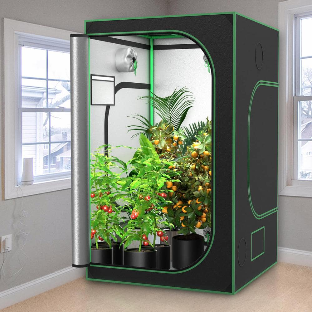 4 ft x 4 ft Green Hydroponic Grow Tent with Observation Window