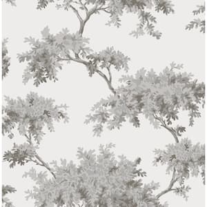 Ashdown Grey Tree Non Woven Wallpaper