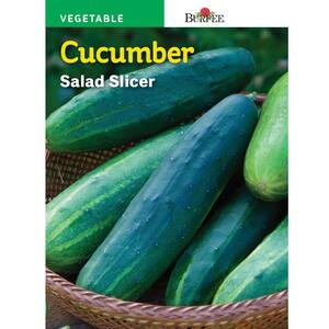 Cucumber Salad Slicer Seeds
