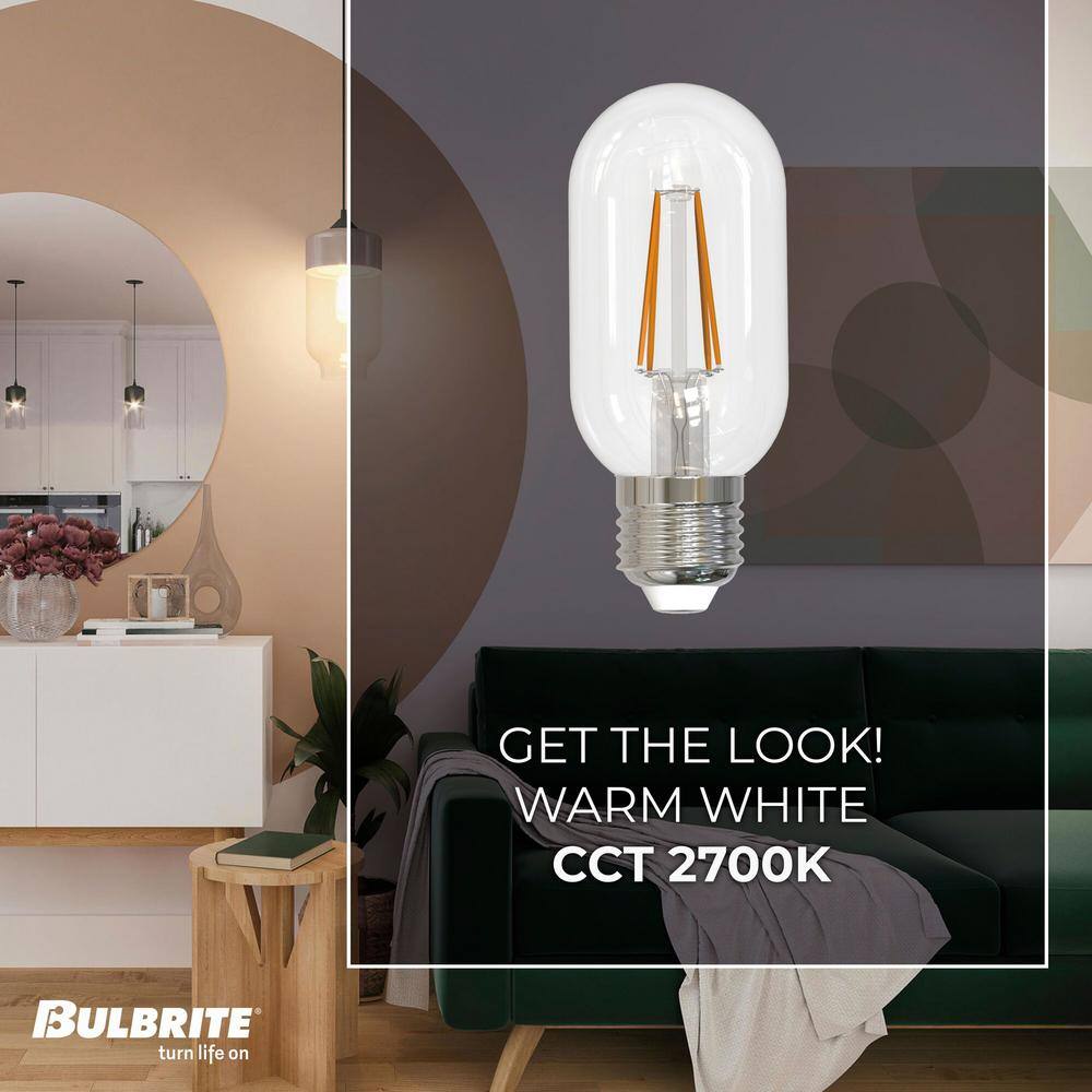 Clear Dimmable Decorative LED Filament Bulb, 4.25 in