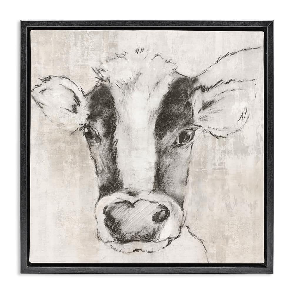Cow Sketch Impression by Eli Jones Black Floater Frame Animal Graphic Art Print 25 in. x 25 in. price history on PriceWatchPro