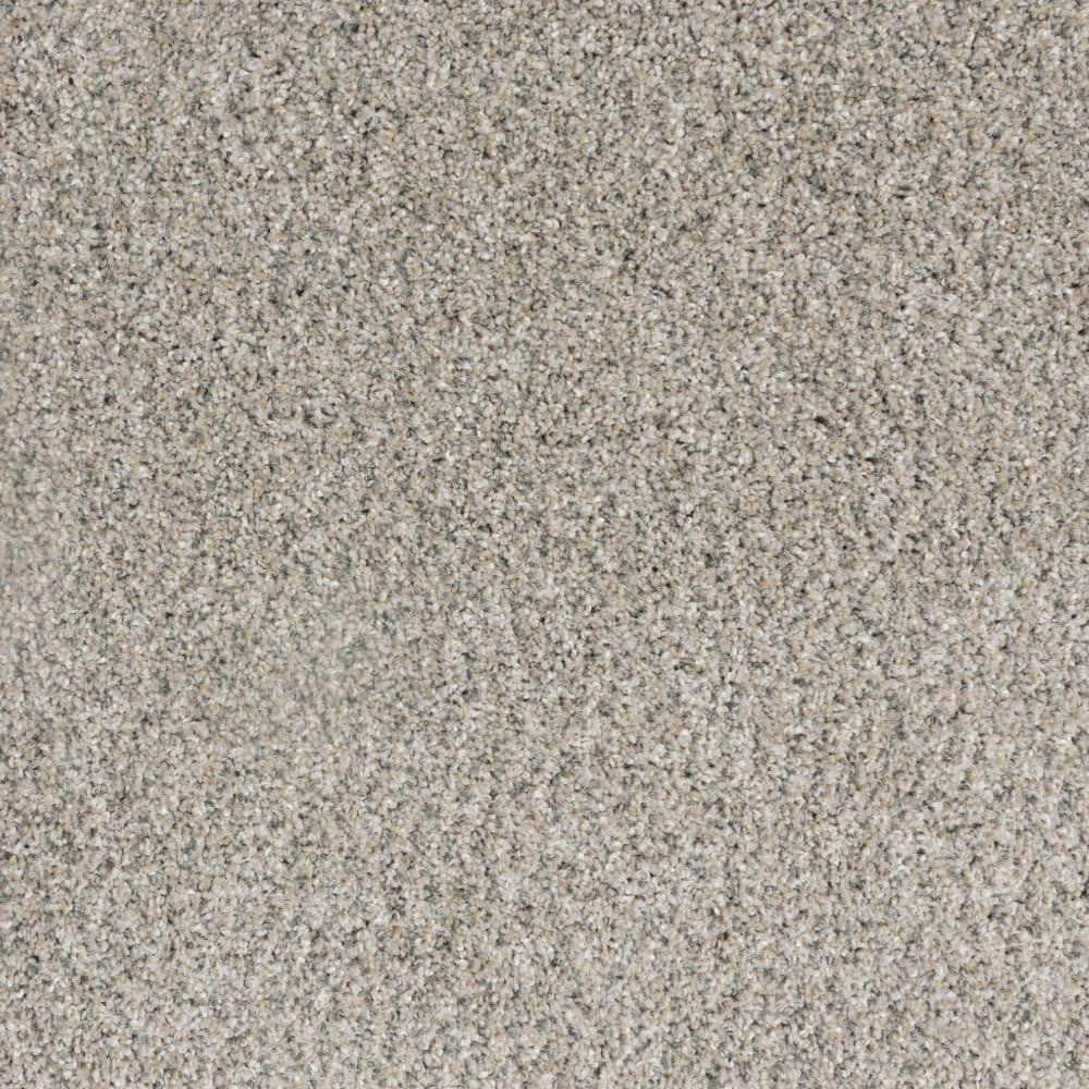 8 in. x 8 in. Texture Carpet Sample-Bolter II-Color Citidael price history on PriceWatchPro