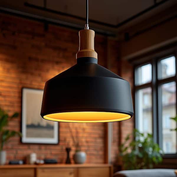 Noir 1-Light Black Pendant