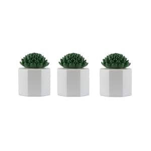 5.5 in. Table Torch Glass Succulent White 3-Pack
