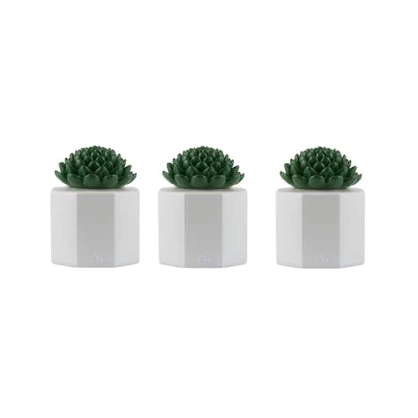 TIKI 5.5 in. Table Torch Glass Succulent White 3-Pack