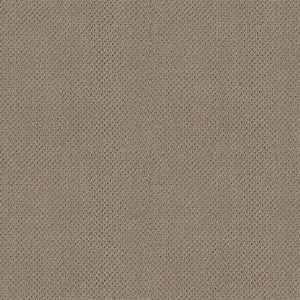 Lightbourne - Milk Chocolate - Brown 39.3 oz. Nylon Loop Installed Carpet