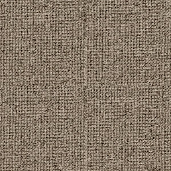 Lightbourne - Milk Chocolate - Brown 39.3 oz. Nylon Loop Installed Carpet