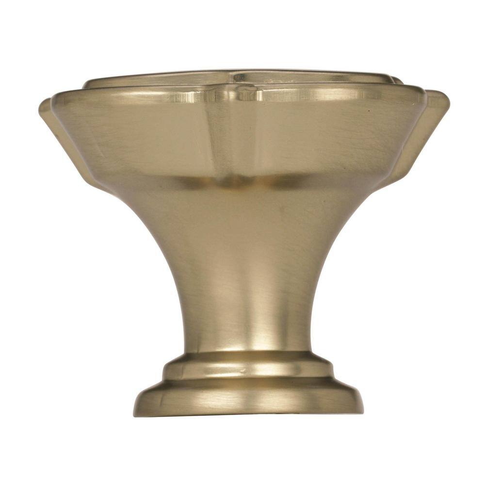 Golden Champagne Square Cabinet Knob with Mounting Hardware