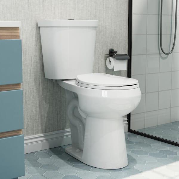 HOROW 21 in. Extra Tall 2-Piece High-Efficiency 1.1/1.6 GPF Dual Flush ...