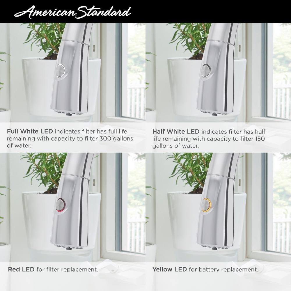 Saybrook Chrome Pull-Down Kitchen Faucet with Filter