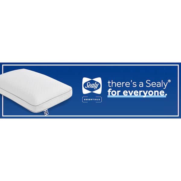 Sealy Essentials 24 in. x 16 in. Classic Memory Foam Standard Bed