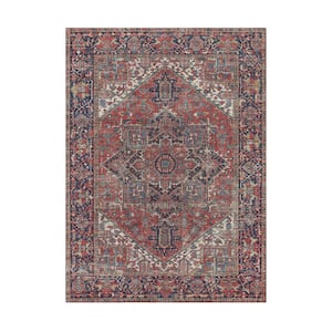 Imagine Chenille Virginia Red Multi-Colored 5 ft. x 7 ft. Medallion Polyester Area Rug
