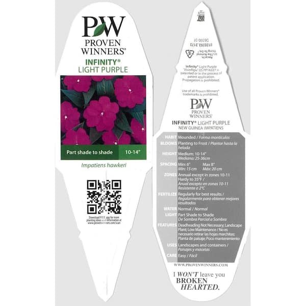 PROVEN WINNERS 4.25 in. Grande Purple-Pink Flowers Infinity Light Purple  (New Guinea Impatiens) Live Plant (8-Pack) NGIPRW1087528 - The Home Depot
