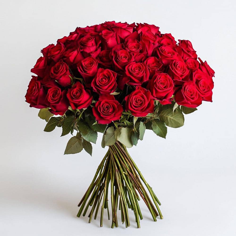 50 Stems - Fresh Cut Red Roses
