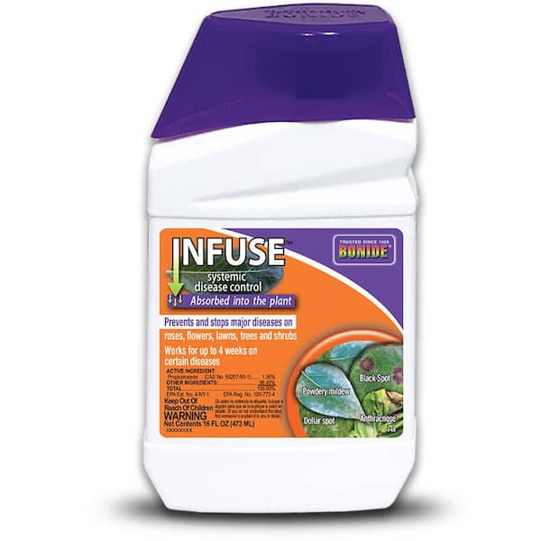 Bonide Infuse Systemic Disease Control, 16 oz Concentrated Solution for Plant Disease Control, Long Lasting and Waterproof