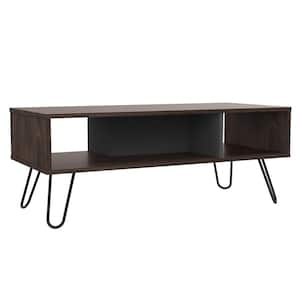 Aster 40 in. Oak Medium Rectangle Wood Coffee Table with Shelf