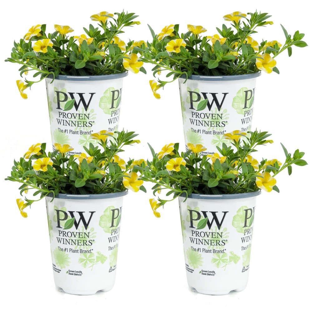 Kawahara Nurseries 4 in. Superbells Calibrachoa Annual Plant Lemon