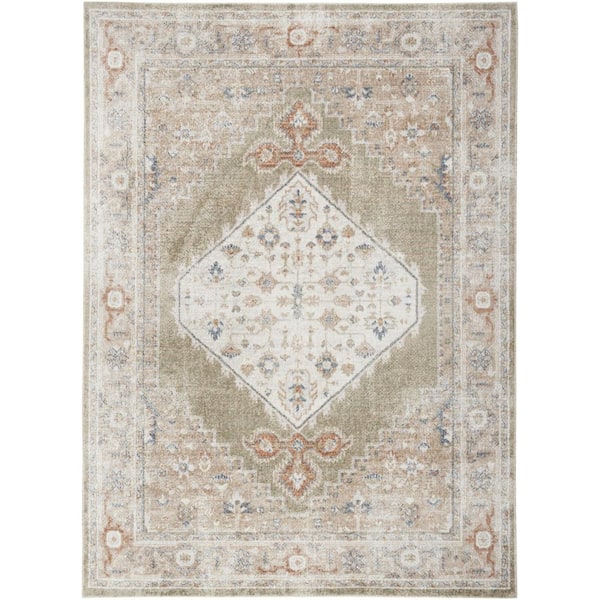 Sage 5 ft. x 7 ft. Oriental Power Loom Distressed Washable Area Rug