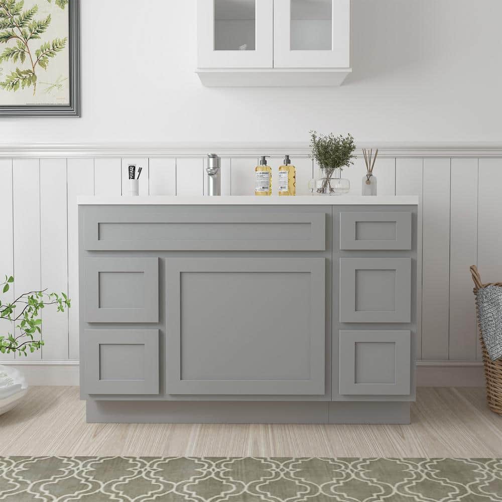 48 in. W x 21 in. D x 32.5 in. H Bath Vanity Cabinet without Top in Gray (Unassembled) price history on PriceWatchPro