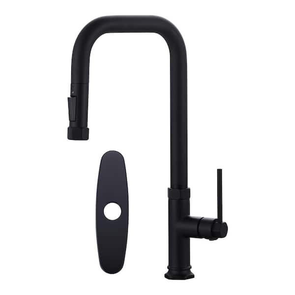 AVITAS Single Handle 2 Water Modes Pull Down Sprayer Kitchen Faucet with Stainless Steel And Brass in Matte Black