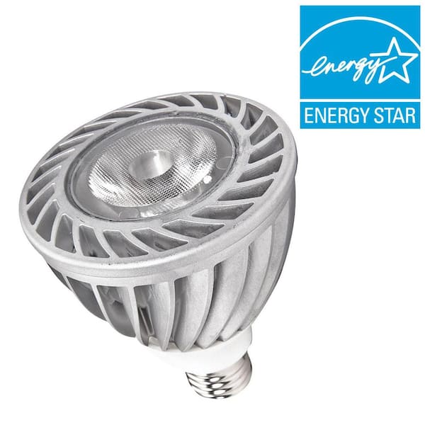 Generation Lighting 15W Equivalent Soft White (2700K) PAR30L LED Flood Light Bulb (E)*