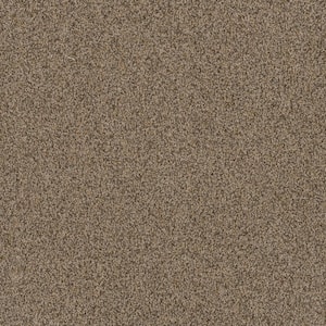 Dream Wish - Aim - Beige 32 oz. SD Polyester Texture Installed Carpet