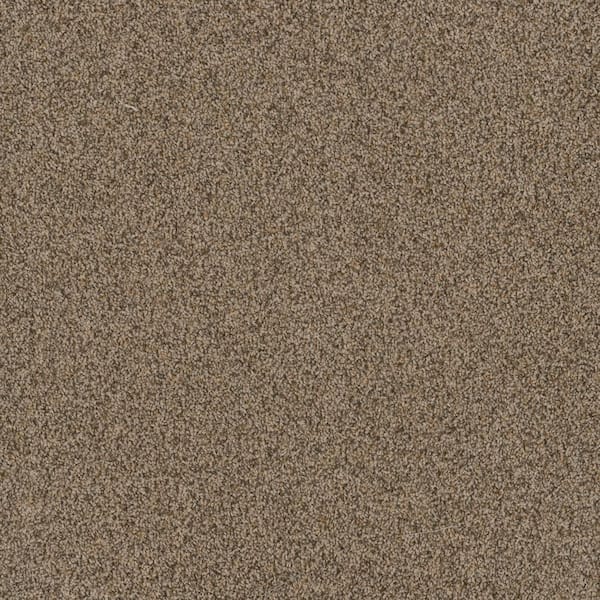 TrafficMaster Dream Wish - Aim - Beige 32 oz. SD Polyester Texture Installed Carpet