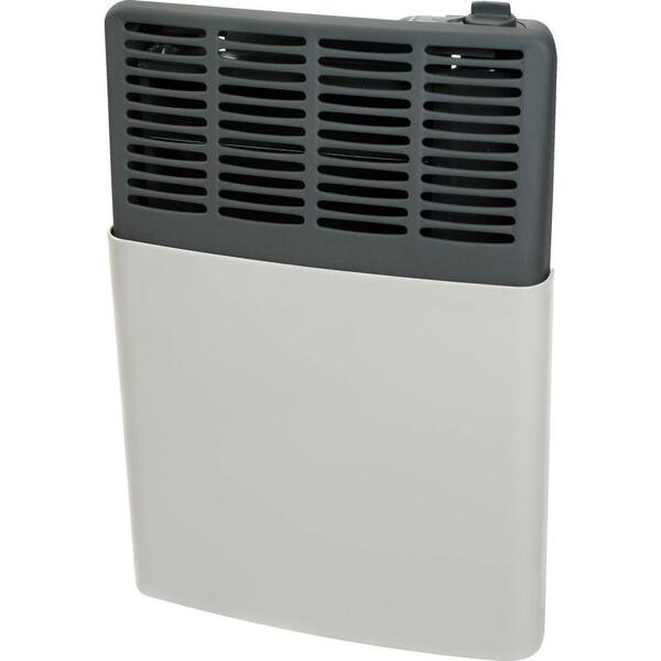 Ashley Hearth Products 8,000 BTU LP Gas Direct Vent Heater