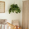 Nearly Natural 24in UV-Resistant Artificial Pothos Vine w/ LED Lights Hanging Basket