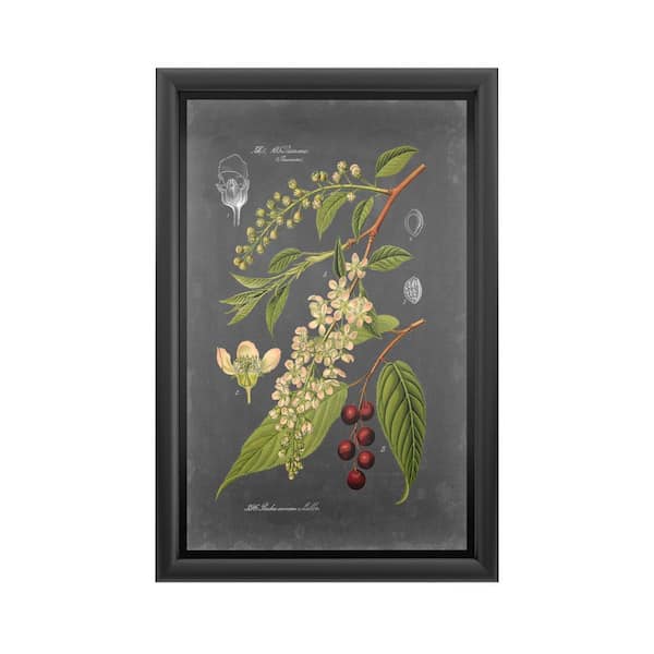 Trademark Fine Art "Midnight Botanical II" by Vision Studio Framed with LED Light Floral Wall Art 24 in. x 16 in.