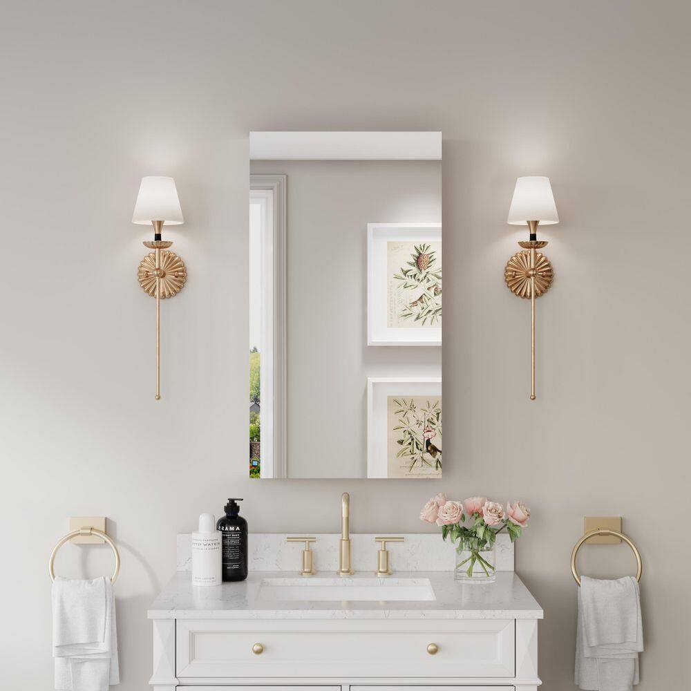 RO 20 in. W x 36 in. H Rectangular Aluminum Medicine Cabinet with Mirror, Adjustable Shelves, Mounting Hardware Included price history on PriceWatchPro