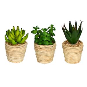 5 in. and 6 in. Artificial Assorted Potted Succulents.