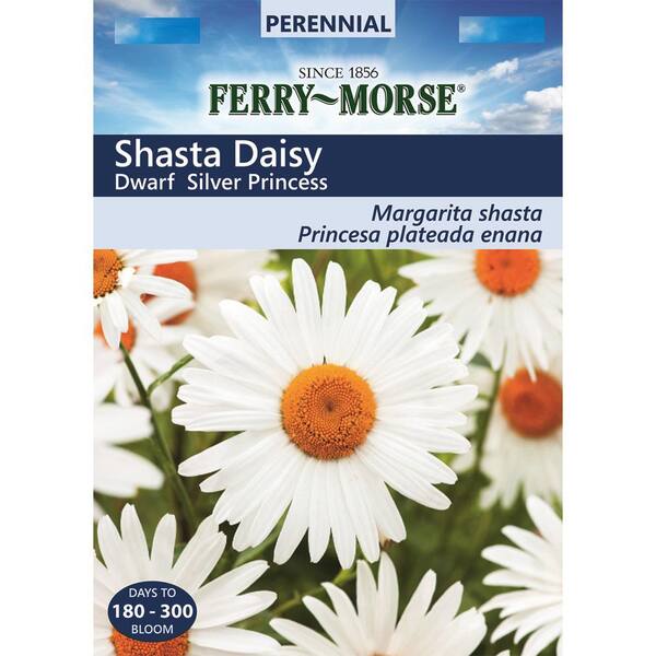 Ferry-Morse Shasta Daisy Dwarf Silver Princess Seed