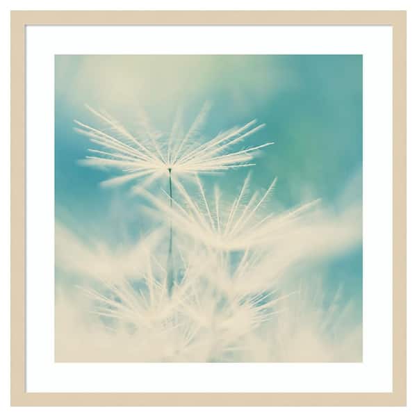 Amanti Art Fluff by Ingrid Beddoes 25 in. W x 25 in. H. Wood Framed Wall Art Print Framed in Brown