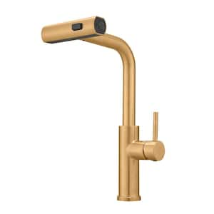 Single Handle Pull Out Sprayer Kitchen Faucet with Rotating Spout Single Hole Kitchen Basin Taps in Brushed Gold