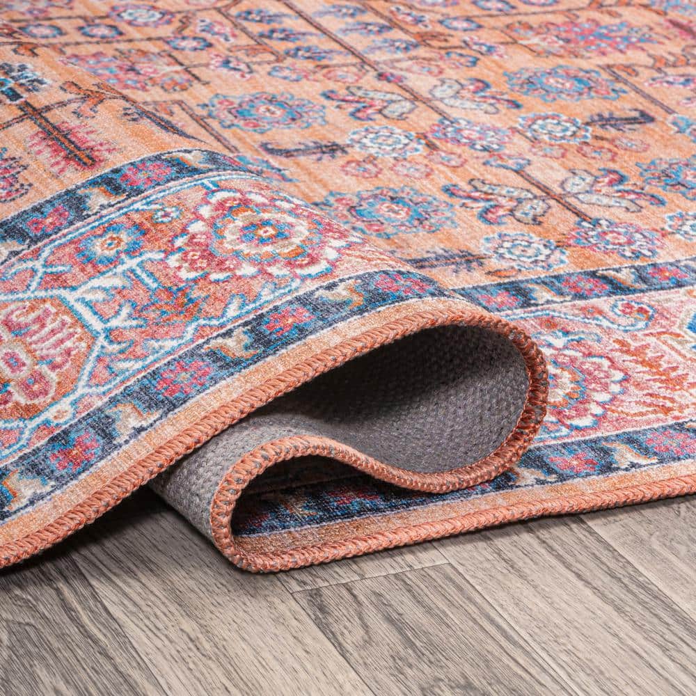 Kemer Multi-Color Persian Washable Synthetic Area Rug