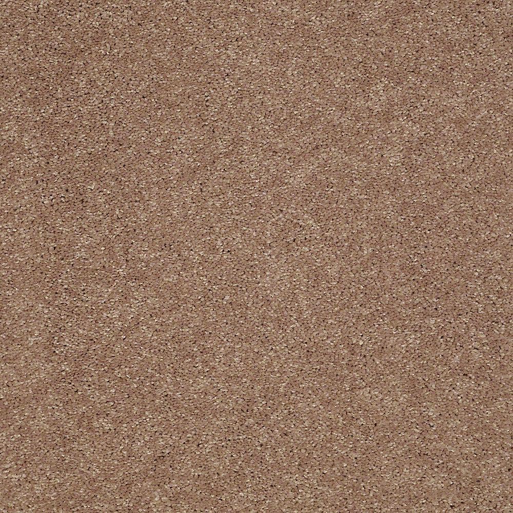 8 in. x 8 in. Texture Carpet Sample - Brave Soul II - Color Sweater price history on PriceWatchPro