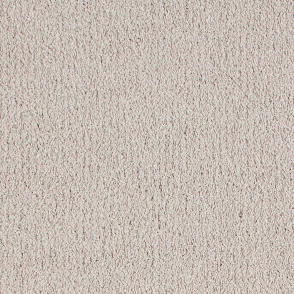 8 in. x 8 in. Texture Carpet Sample - Northern Hills I -Color Frozen Lake price history on PriceWatchPro