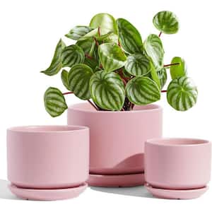 Modern 6.8 in. L x 6.8 in. W x 5.3 in. H Pink Ceramic Round Indoor Planter (3-Pack)