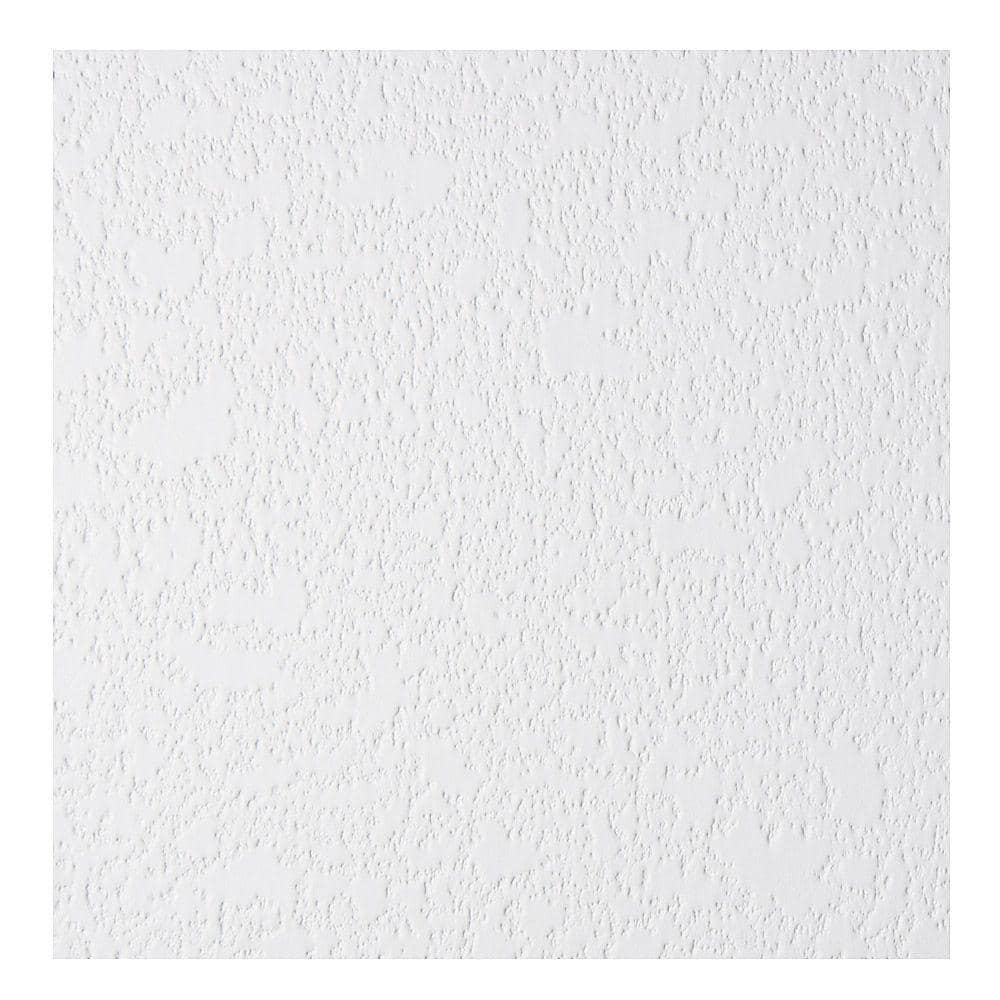 Parkland Plastics Embossed White Matte Plastic Wall Panel in the Wall Panels  department at