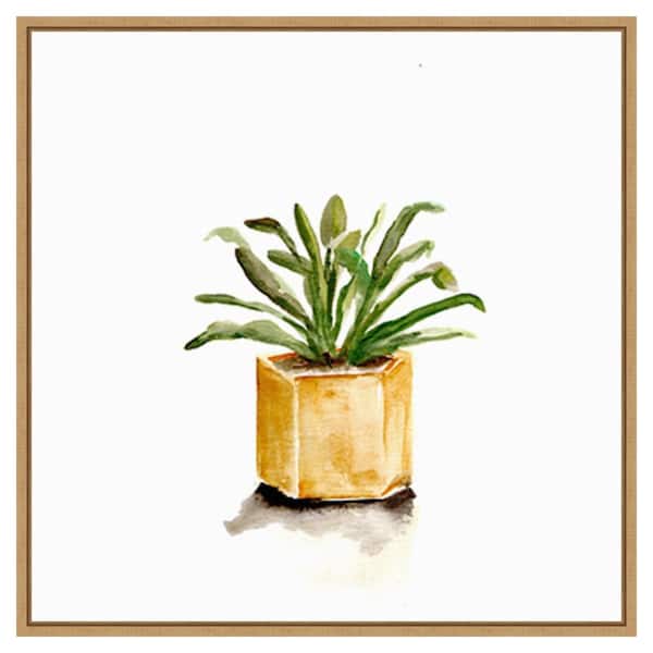 Amanti Art Potted Botanicals II by Marcy Chapman 30 in. W x 30 in. H Canvas Float Frame in Brown