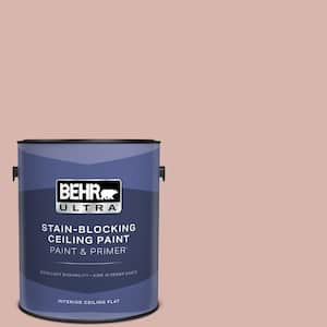 1 gal. #170E-3 Bridal Rose Ceiling Flat Interior Paint and Primer