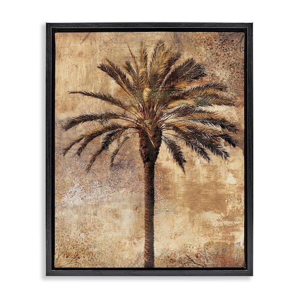Stupell Industries Distressed Palm Tree by Dan Sproul Black Floater Frame Nature Graphic Art Print 31 in. x 25 in.