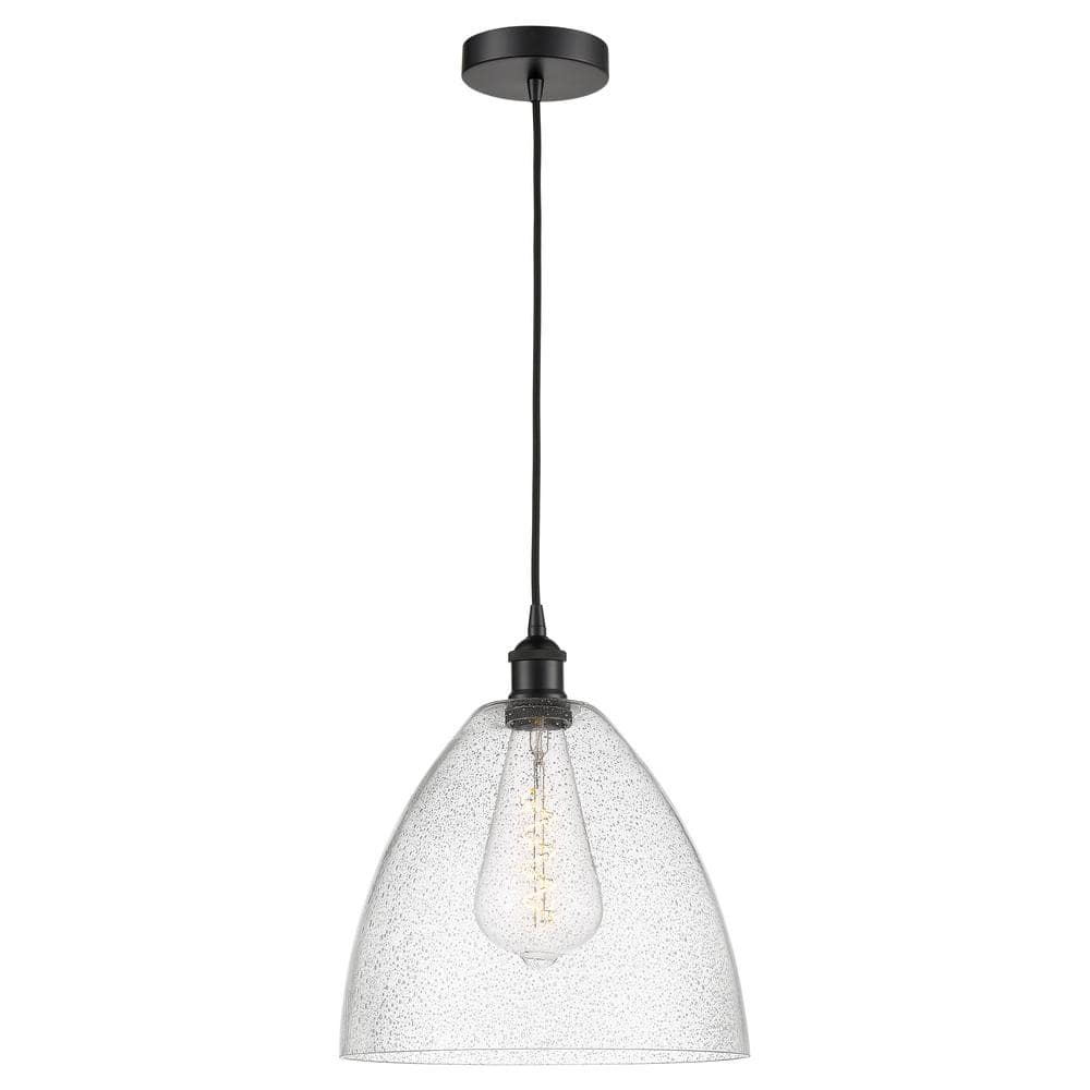 Edison Dome 60-Watt 1-Light Matte Black Standard Mini Pendant Light with Seeded Glass Shade, No Bulbs Included price history on PriceWatchPro