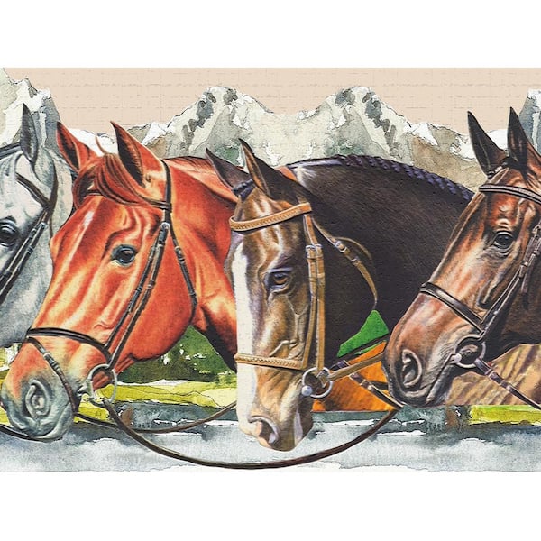 47 Equestrian Wallpaper Border  WallpaperSafari